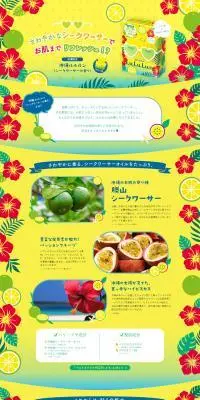 沖縄ルルルンのLPデザイン（スキンケア・ボディケア・ヘアケア／イエロー系／にぎやか系）PC版