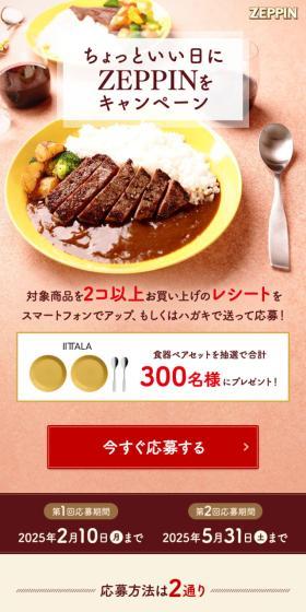 Campaign for ZEPPIN on a nice day LP design (Events, Campaigns, Experiences / Brown tones / Natural style) Mobile version