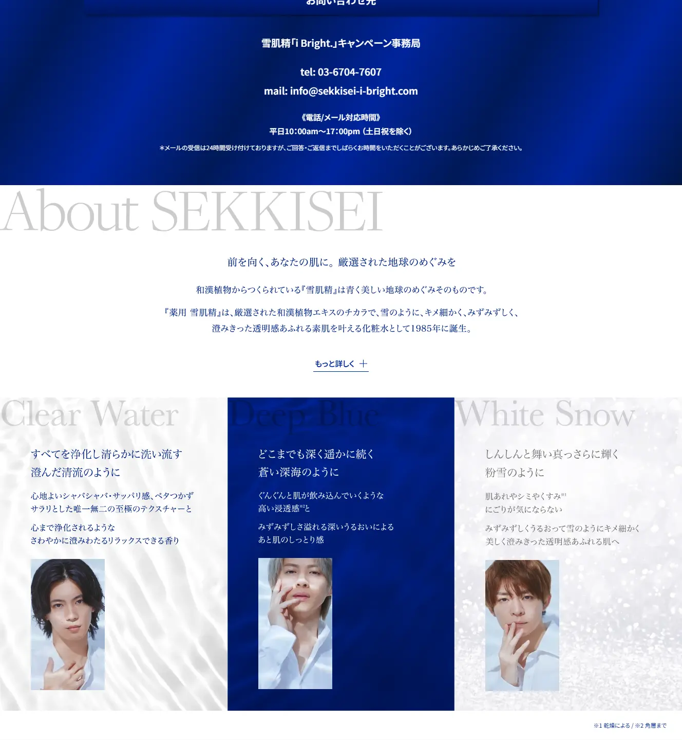Sekkisei x Number_i LP design (Skincare, Bodycare, Haircare / Shades of blue / Refined style) PC version