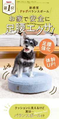 Balancedoggie+won