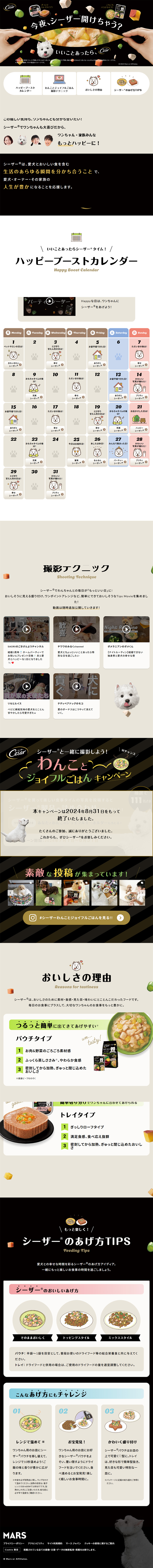 Cesar LP design (Pet food and pet supplies / Beige tones / Cute style)