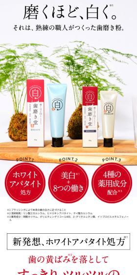 薬用ホワイトニングペーストのLPデザイン（洗剤・洗濯・掃除用品／ホワイト系／清潔系）スマホ版