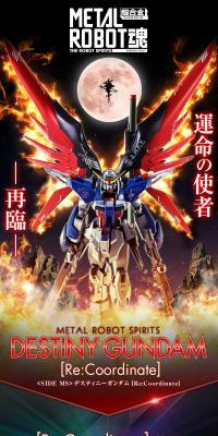 METAL ROBOT魂 ＜SIDE MS＞ デスティニーガンダム 