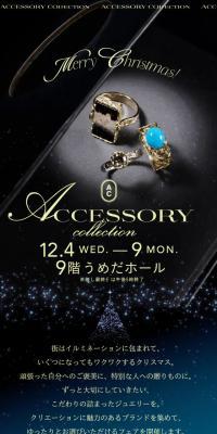 Accessory Collection