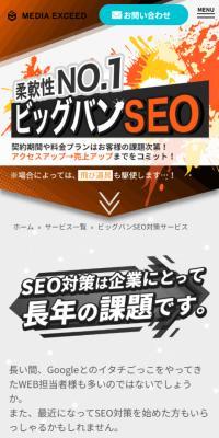 Big Bang SEO Service