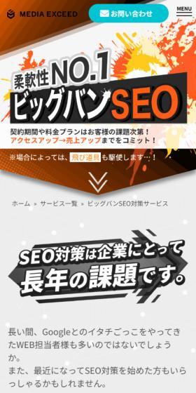 Flexibility No. 1 Big Bang SEO
