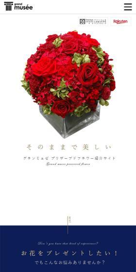 Preserved Flower Introduction LP design (Interior,Accessories,Miscellaneous goods / Gold tones / Simple) Mobile version