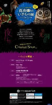 真夜中のいきもの展のLPデザイン（イベント・キャンペーン・体験／パープル系／にぎやか系）PC版