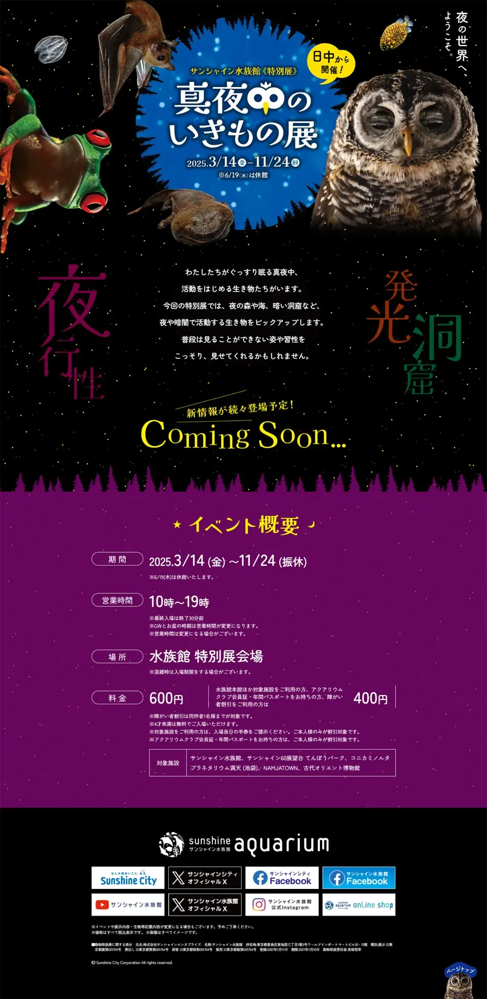 Midnight Creatures Exhibition LP design (Events, Campaigns, Experiences / Purples / Lively type) PC version