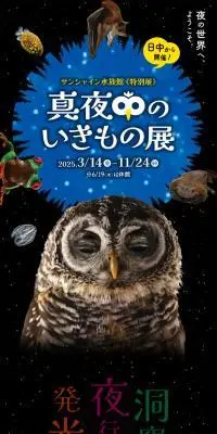 真夜中のいきもの展のLPデザイン（イベント・キャンペーン・体験／パープル系／にぎやか系）スマホ版