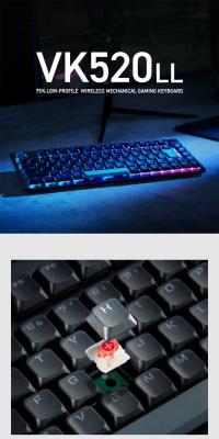 KEYBOARD VK520LL
