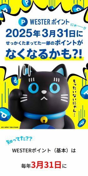一部のWESTERポイントが失効期限を迎えますのLPデザイン（国内旅行・海外旅行／ブルー系／にぎやか系）スマホ版