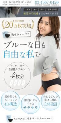 Absorbent briefs