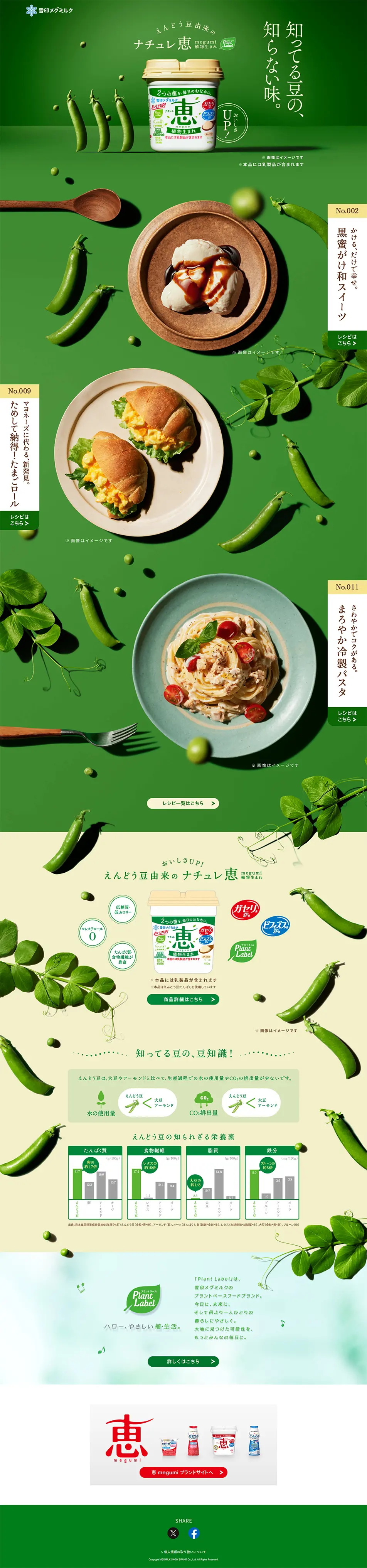 NATURE Megumi LP design (Cheese, yogurt, dairy products / Green tones / Natural style) PC version