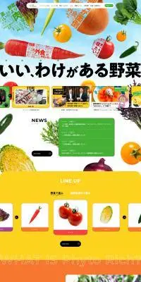 ファイトリッチのLPデザイン（企業・会社・お店／カラフル系／にぎやか系）PC版