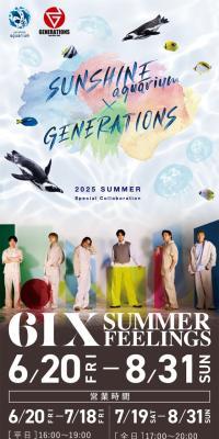 6IXSUMMERFEELINGS
