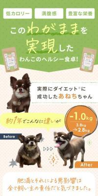 Wanko no Healthy Shokutaku