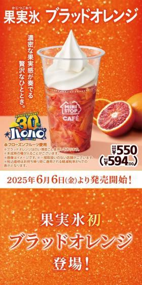 Halo-Halo Fruit Ice Blood Orange LP design (Water and Soft Drinks / Orange tones / Strong) Mobile version