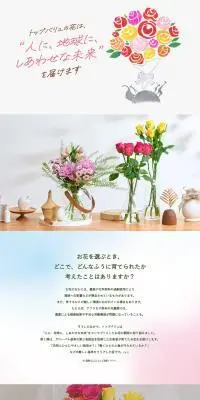 トップバリュ　切り花のLPデザイン（花・観葉植物・造花／ピンク系／シンプル系）PC版