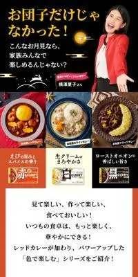 ホワイトカレー・ブラックカレー・レッドカレーのLPデザイン（調味料・甘味料・ダシ・スープ／ブラック系／にぎやか系）スマホ版