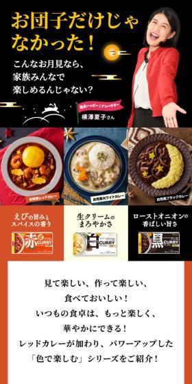ホワイトカレー・ブラックカレー・レッドカレーのLPデザイン（調味料・甘味料・ダシ・スープ／ブラック系／にぎやか系）スマホ版