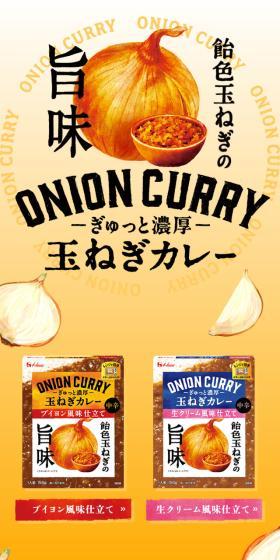 Onion Curry LP design (Seasonings, Sweeteners, Broth, Soup / Orange tones / Organic) Mobile version