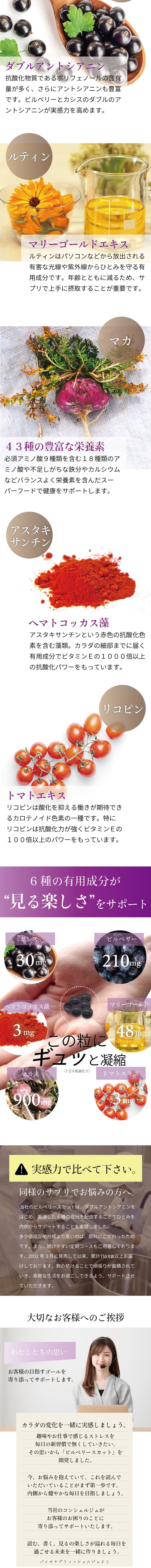 ビルベリースカットのLPデザイン（ダイエットサプリ・ダイエット飲料／パープル系／シンプル系）スマホ版