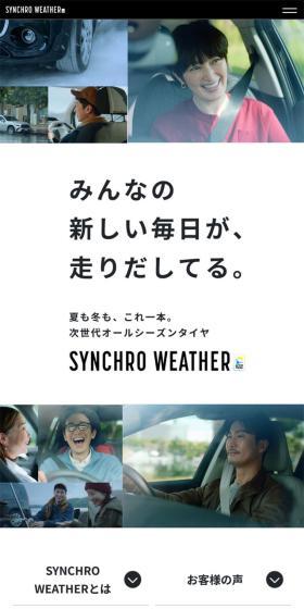 SYNCHROWEATHER LP design (Automotive Body and Accessories / Shades of grey / Stylish type) Mobile version