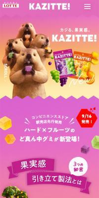 カジッテ のLPデザイン（スナック・ガム・あめ・グミ）