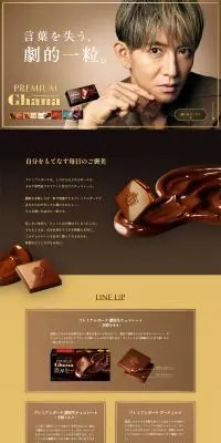 PREMIAM CHANAのLPデザイン（チョコレート／ブラウン系／高級・セレブ系）PC版
