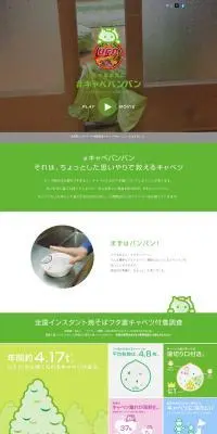 #キャベバンバンのLPデザイン（レトルト・インスタント／グリーン系／シンプル系）PC版