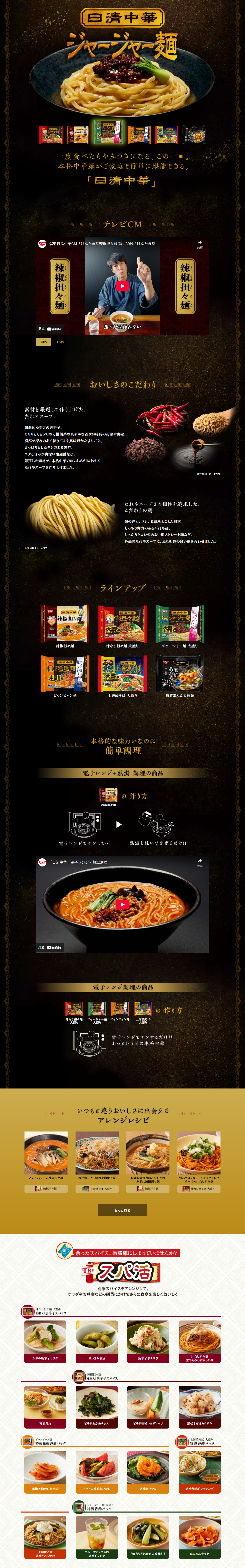 Frozen Nissin Chuka LP design (Retort / Instant / Black-colored / Cool style)