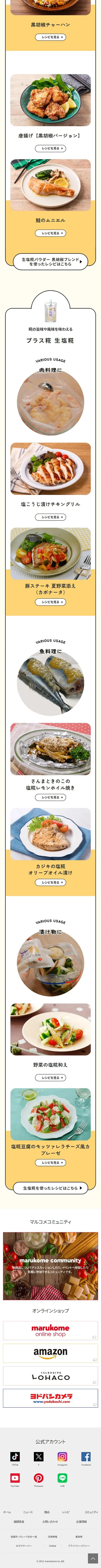 塩糀パウダーのLPデザイン（麺・パン・粉物／ベージュ系／かわいい系）スマホ版
