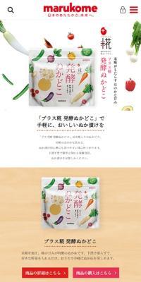 Fermented Rice Bran Paste
