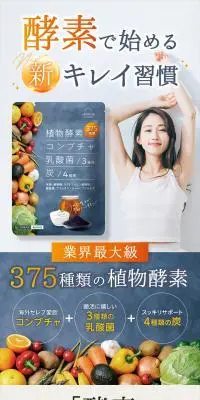 植物酵素コンブチャのLPデザイン（健康食品・健康ドリンク・サプリメント／グレー系／信頼・安心系）PC版