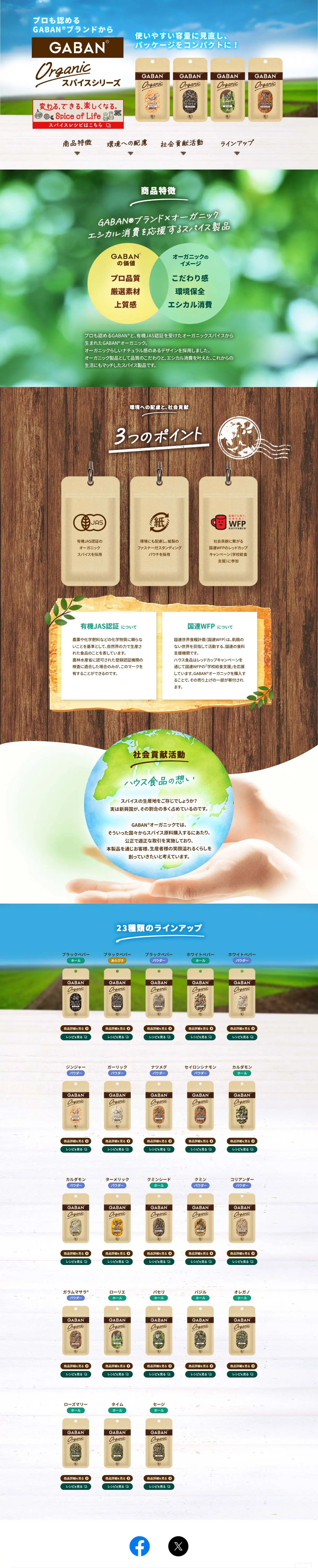 GABAN® Organic スパイスシリーズのLPデザイン（レトルト・インスタント／ブラウン系／オーガニック系）PC版