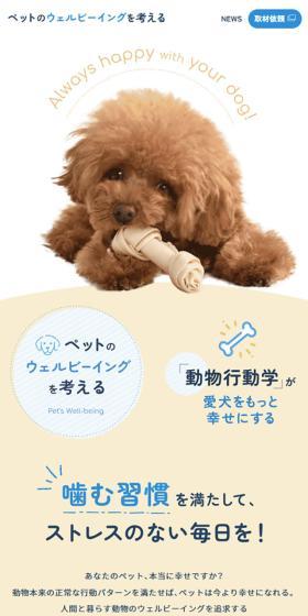 Considering the Well-being of Pets
