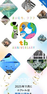 10th Anniversary Special Website