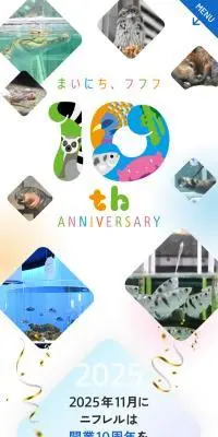 10周年記念特設サイトのLPデザイン（企業・会社・お店／カラフル系／マンガ・イラスト系）スマホ版