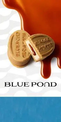 BLUE PONDのLPデザイン（洋菓子／ブルー系／シンプル系）スマホ版