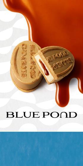 BLUE PONDのLPデザイン（洋菓子／ブルー系／シンプル系）スマホ版