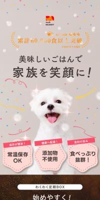 Wakuwaku Teiki BOX