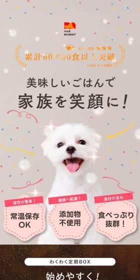 わくわく定期BOXのLPデザイン（ペットフード ・ ペット用品／イエロー系／シンプル系）スマホ版