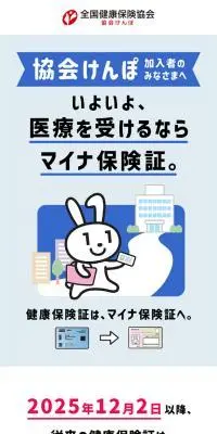 マイナ保険証のLPデザイン（保険・金融・クレジット／ブルー系／シンプル系）スマホ版