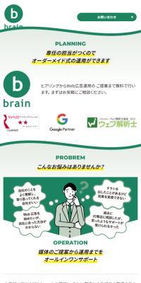 Brain