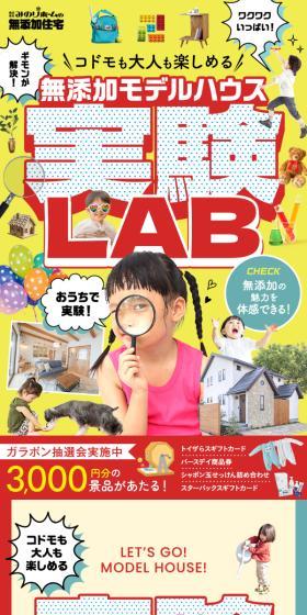Additive-free Experimental Model House Experimental LAB Enjoyable for Both Children and Adults