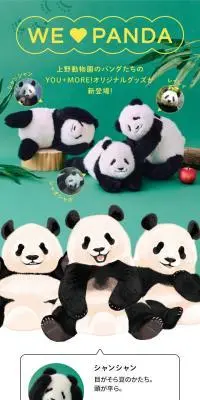 WE ♥ PANDAのLPデザイン（インテリア・小物・雑貨／グリーン系／かわいい系）スマホ版