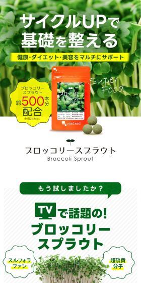 サイクルUPで基礎を整える
