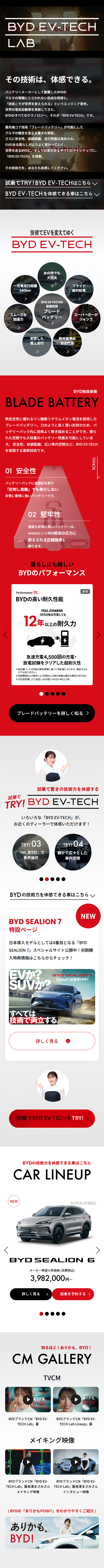 BYDEV-TECHLAB LP design (Automotive Body and Accessories / Red tones / Cool style)