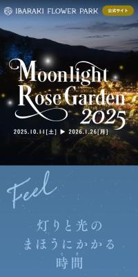 Moonlight Rose Garden2025